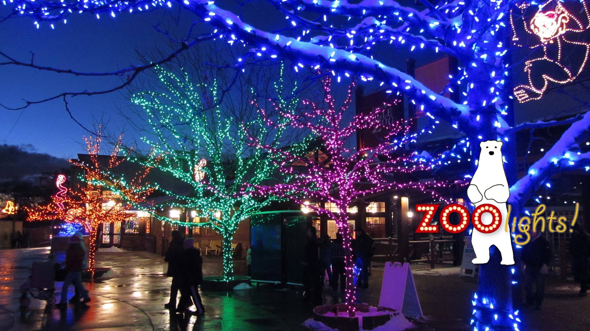 Hogle Zoo Lights Studio 5