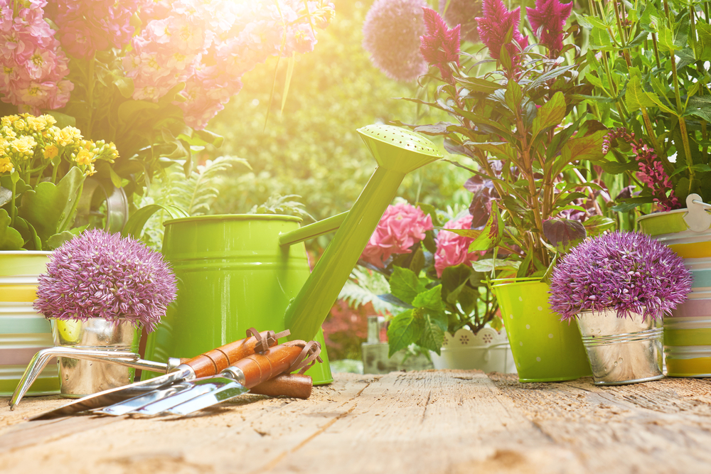 Enjoy the garden. Gardening Tools and Flowers. Маленький букет цветов и грабли картинка.