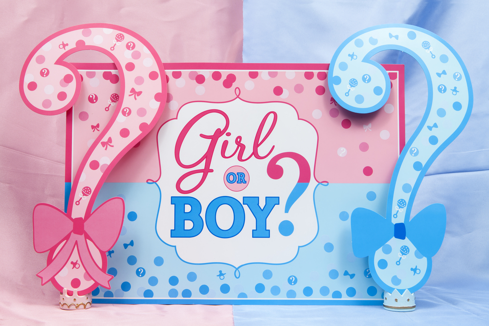 Emme and Boston help announce whether it will be a boy or a girl. 