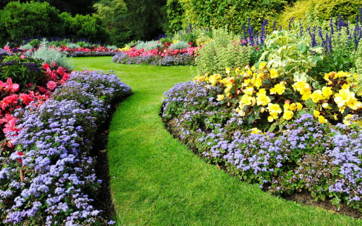 Make a Master Plan for Your Flowerbeds - Studio 5