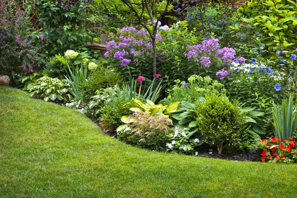 Lifestyle Gardening: How to use your yard as an extra living space...