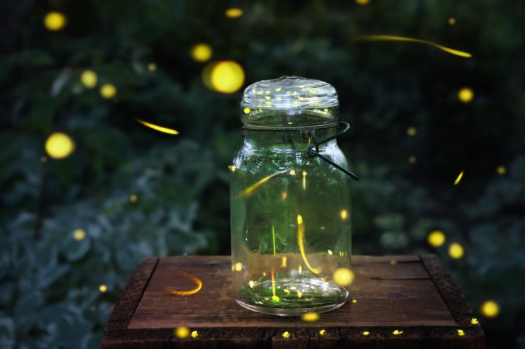 fireflies in utah