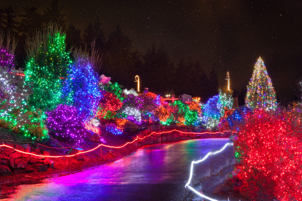 Holy Christmas lights! You'll be in awe at this amazing display in St