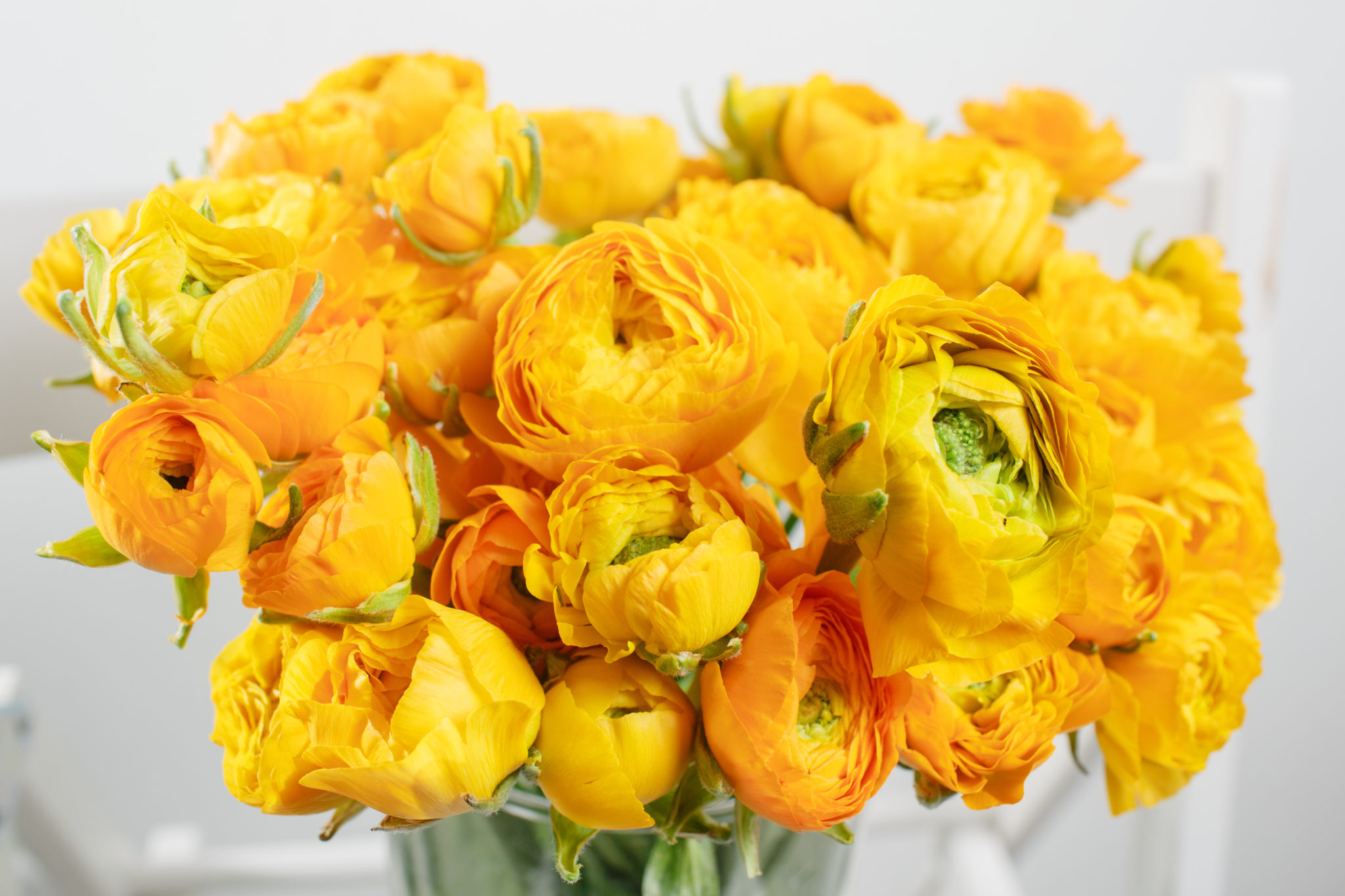 Illuminating Yellow Flowers: 6 ideas for using Pantone's color of the ...