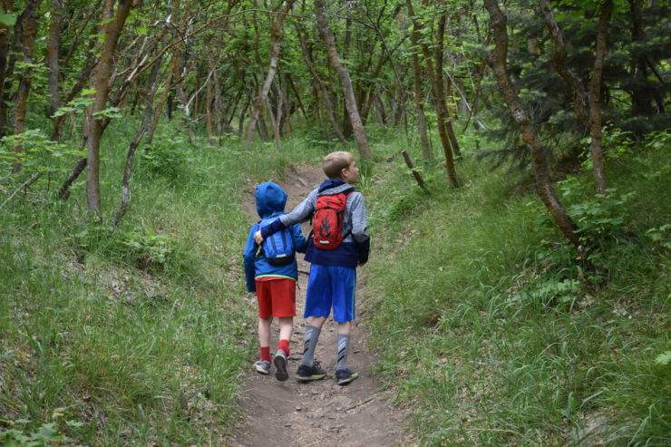 family-friendly spring hikes