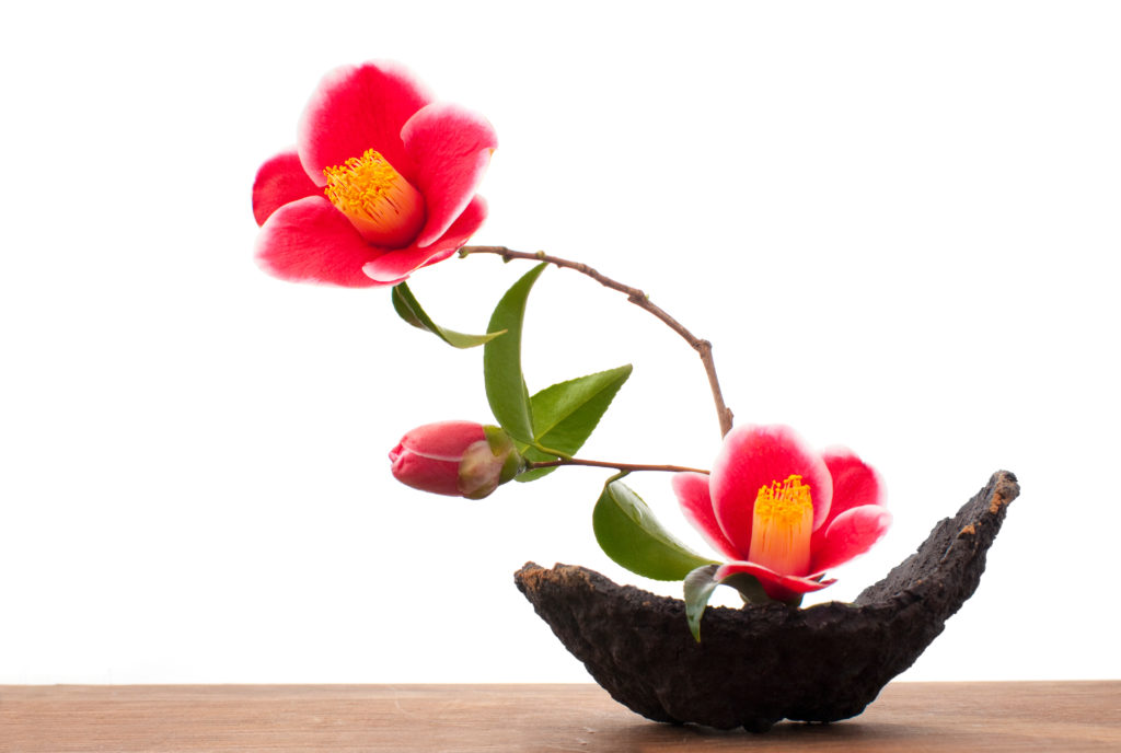 The Art of Ikebana: Try this clean, simple style of floral design