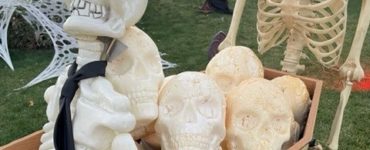 halloween skulls