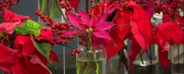 christmas floral trends