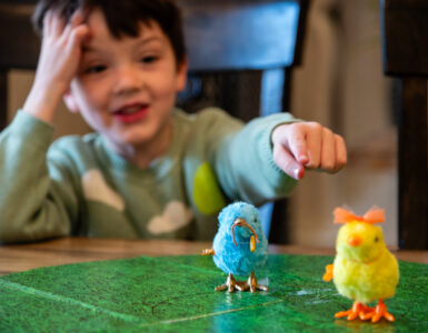 boy playing with Easter chicks