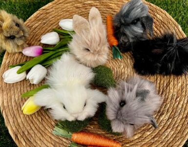 fluffle of bunnies
