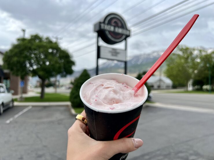 summer food - strawberry shake