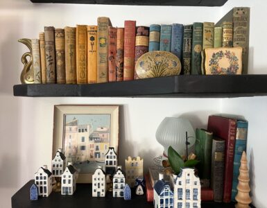 thrifting - styled bookshelf