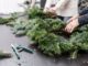 fresh green wreath making