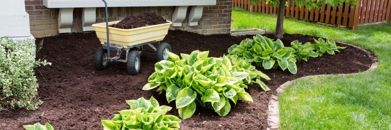 garden soil