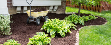 garden soil
