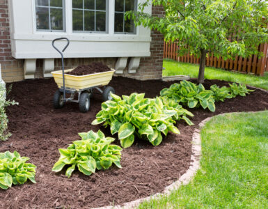 garden soil