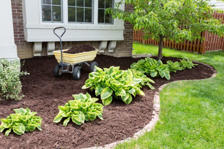 garden soil