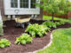 garden soil