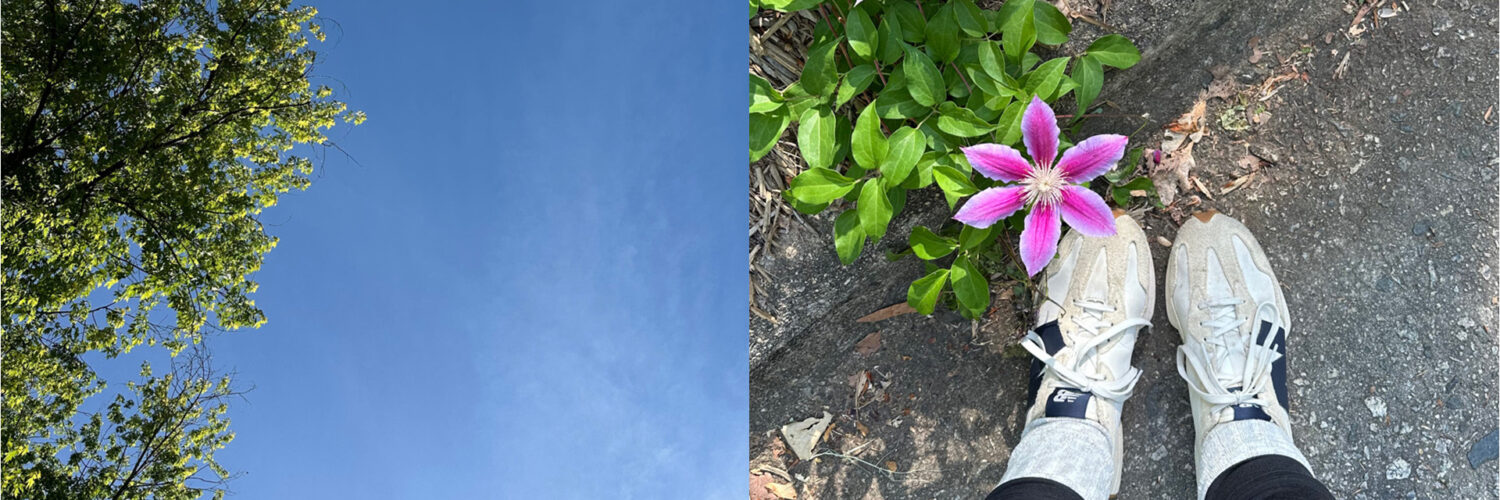 two photos