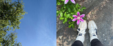 two photos