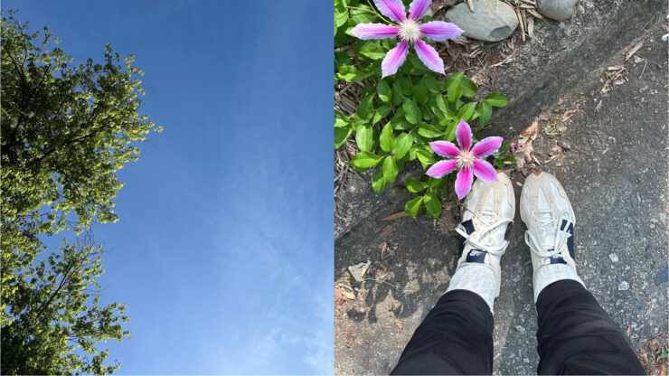 two photos