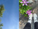 two photos