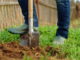 digging