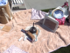 picnic