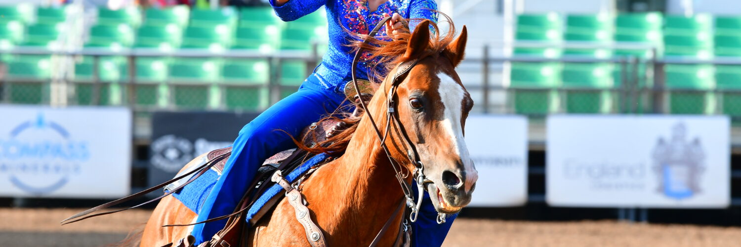 rodeo