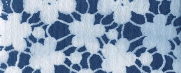 cyanotype
