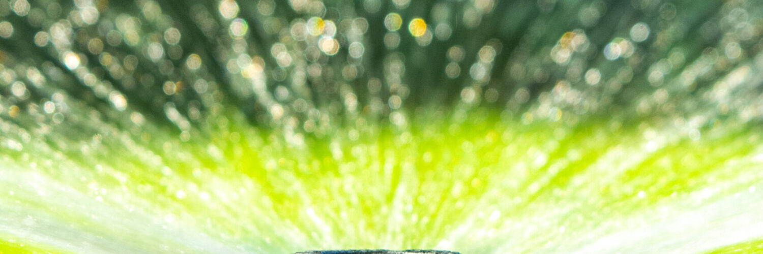 sprinkler