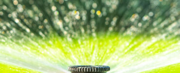 sprinkler