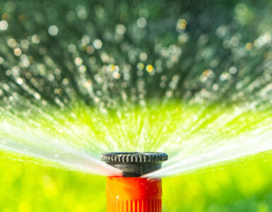 sprinkler