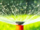 sprinkler