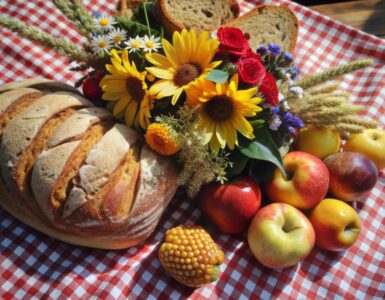 bread and apples picnic spread